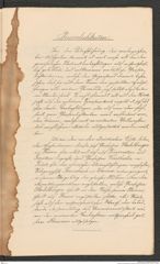 Nachlass Franz Steindachner, Prospect der Adria-Commission (Mai 1874), Inv.Nr. 4.01, Seite 11